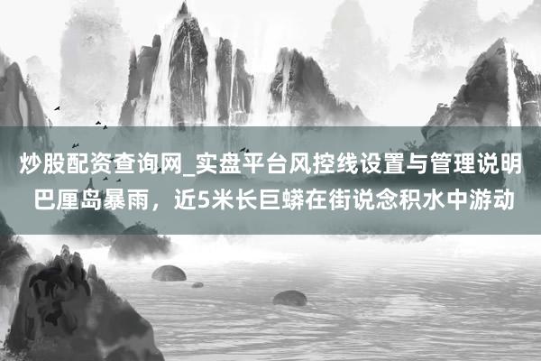 炒股配资查询网_实盘平台风控线设置与管理说明 巴厘岛暴雨，近5米长巨蟒在街说念积水中游动