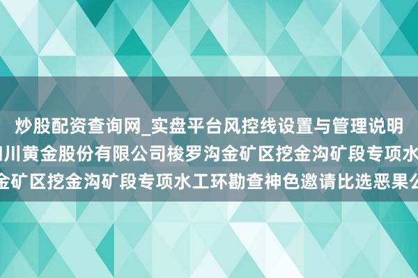炒股配资查询网_实盘平台风控线设置与管理说明 四川黄金招标恶果：四川黄金股份有限公司梭罗沟金矿区挖金沟矿段专项水工环勘查神色邀请比选恶果公示