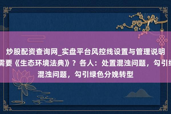 炒股配资查询网_实盘平台风控线设置与管理说明 咱们为什么需要《生态环境法典》？各人：处置混浊问题，勾引绿色分娩转型